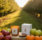 "Golden Orchard" Luxe Olive Coconut Wax Candle | 11 oz
